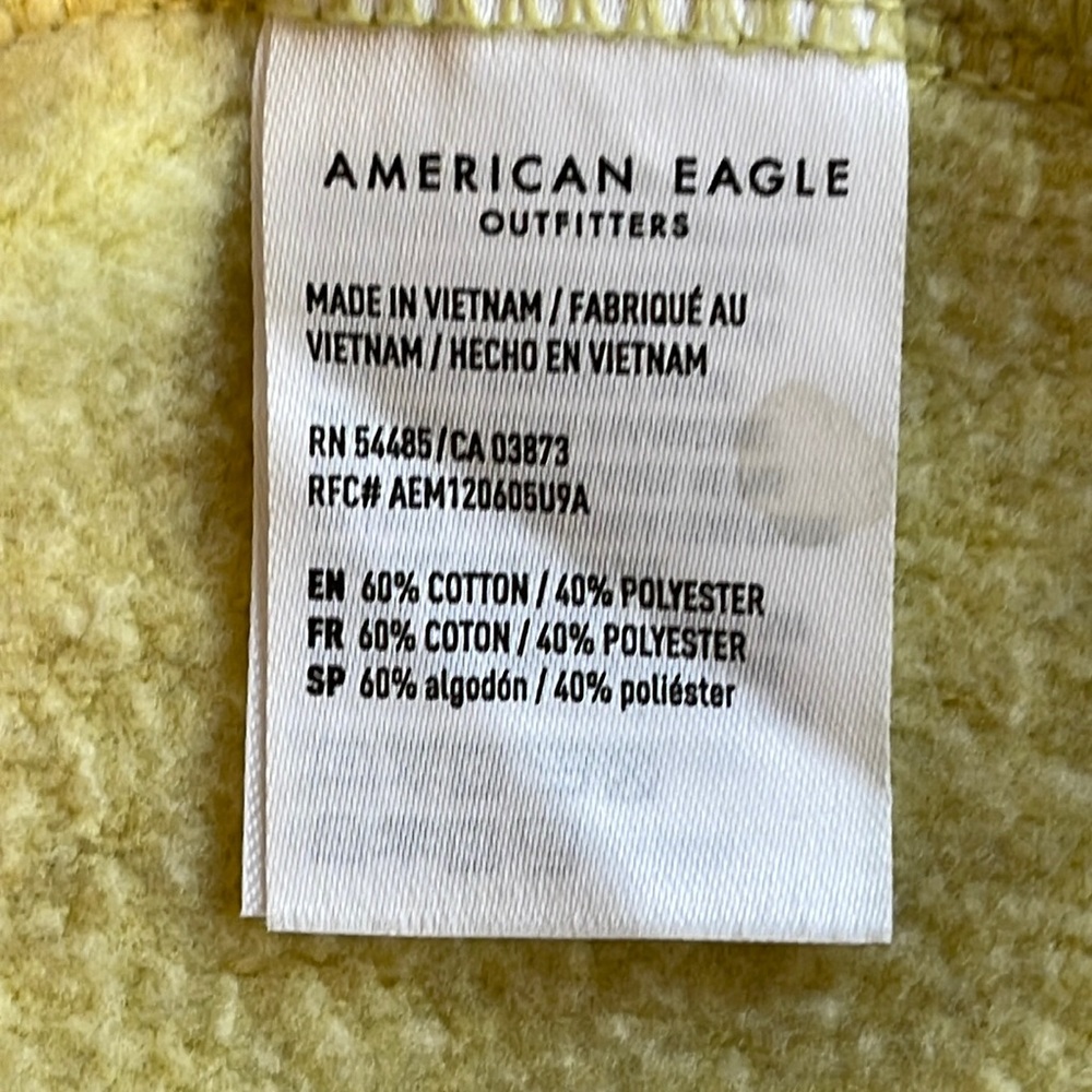 NWOT American Eagle Hooded Sweatshirt - Picture 15 of 16